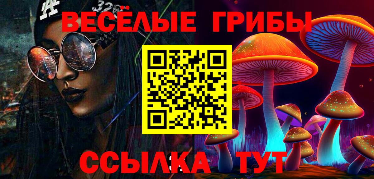 Псилоцибиновые грибы прущие грибы  Псилоцибиновые грибы мицелий  Вход с VPN  Ярцево 